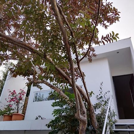Casa Mango 3 Amplio Departamento Villa Rio Verde Luaran gambar