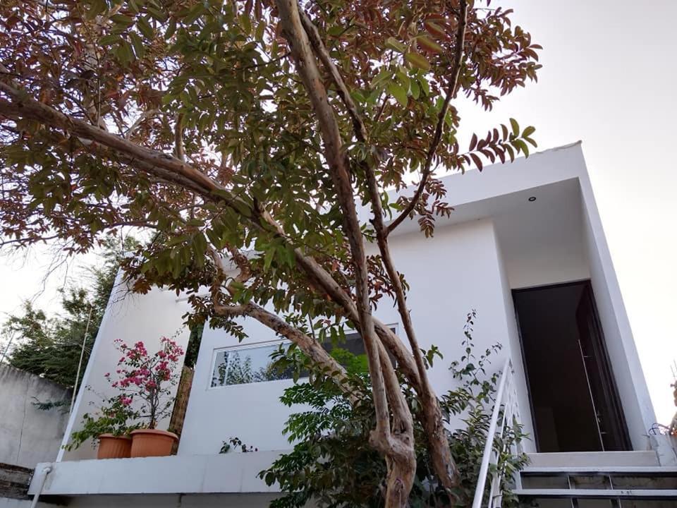 Casa Mango 3 Amplio Departamento Villa Rio Verde Luaran gambar